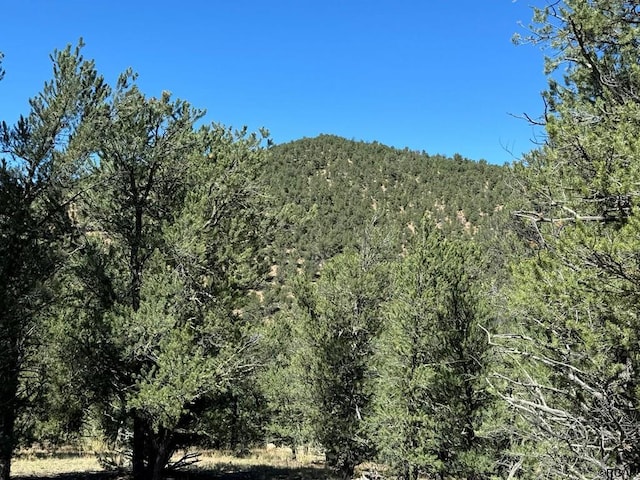 LOT9 Sundance Rd, Cotopaxi, CO 81223