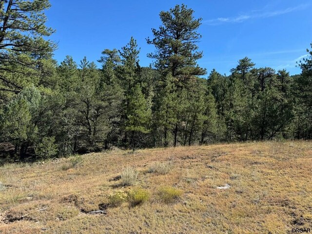 LOT9 Sundance Rd, Cotopaxi, CO 81223