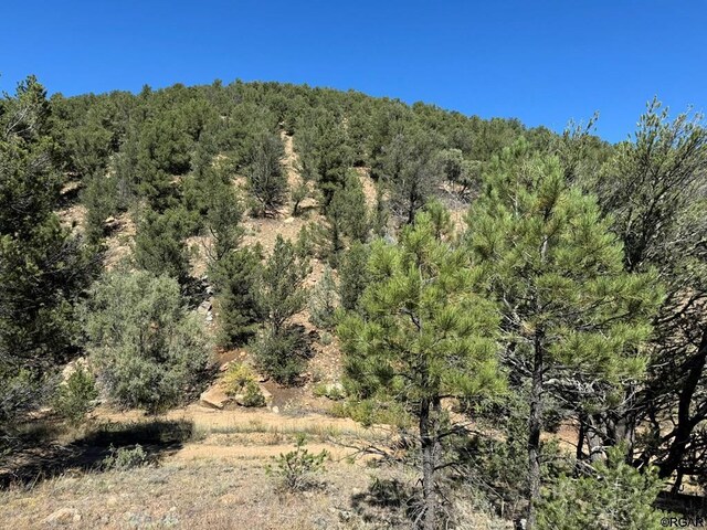 LOT9 Sundance Rd, Cotopaxi, CO 81223