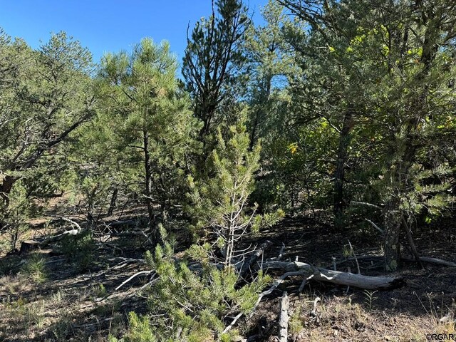LOT9 Sundance Rd, Cotopaxi, CO 81223