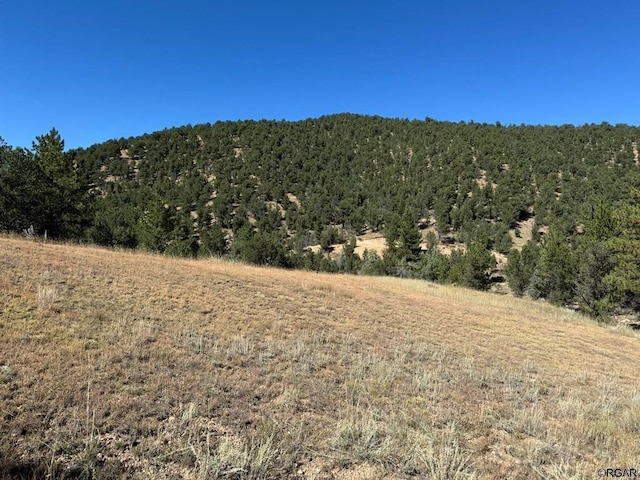 LOT9 Sundance Rd, Cotopaxi, CO 81223