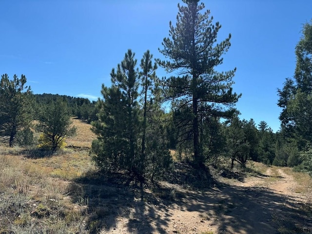 LOT9 Sundance Rd, Cotopaxi, CO 81223