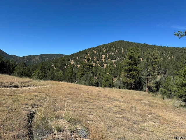 Listing photo 3 for LOT9 Sundance Rd, Cotopaxi CO 81223