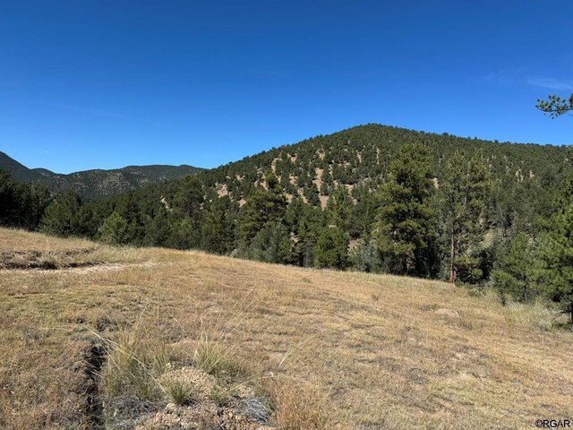 LOT9 Sundance Rd, Cotopaxi, CO 81223