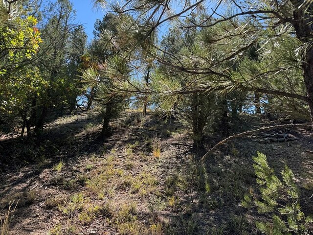 LOT9 Sundance Rd, Cotopaxi, CO 81223