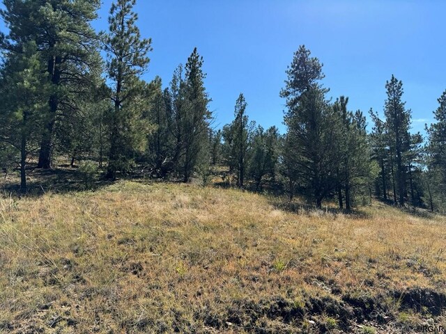 LOT9 Sundance Rd, Cotopaxi, CO 81223