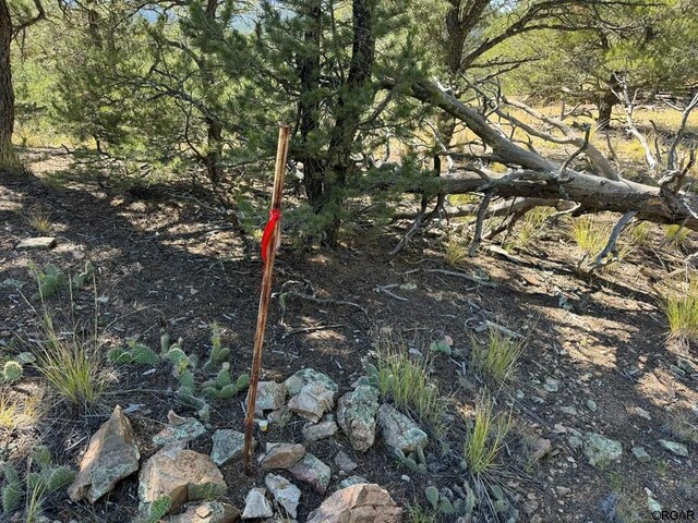 LOT9 Sundance Rd, Cotopaxi, CO 81223