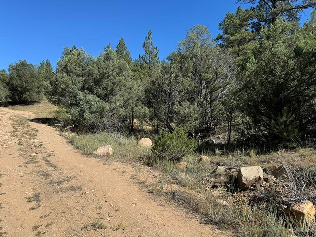 LOT9 Sundance Rd, Cotopaxi, CO 81223