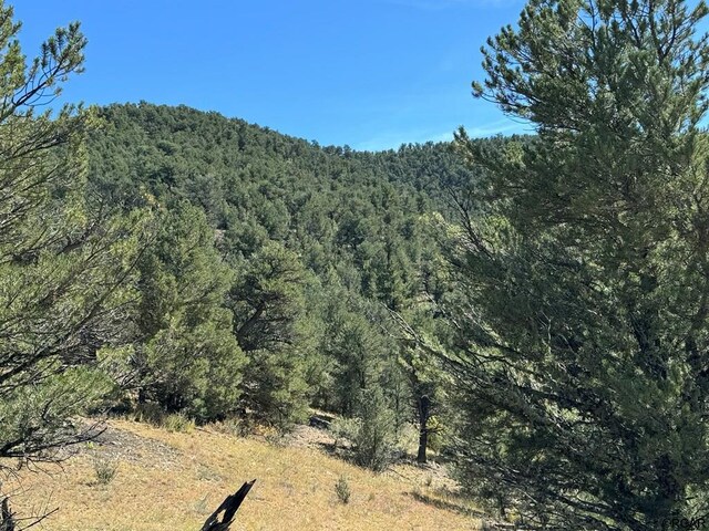 LOT9 Sundance Rd, Cotopaxi, CO 81223