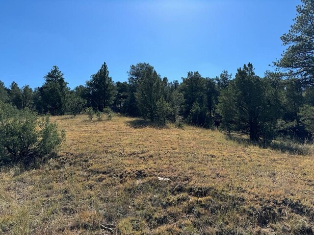 LOT9 Sundance Rd, Cotopaxi, CO 81223