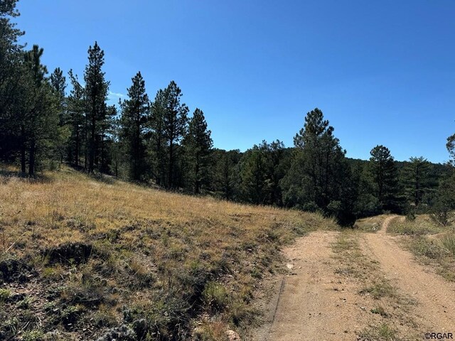 LOT9 Sundance Rd, Cotopaxi, CO 81223