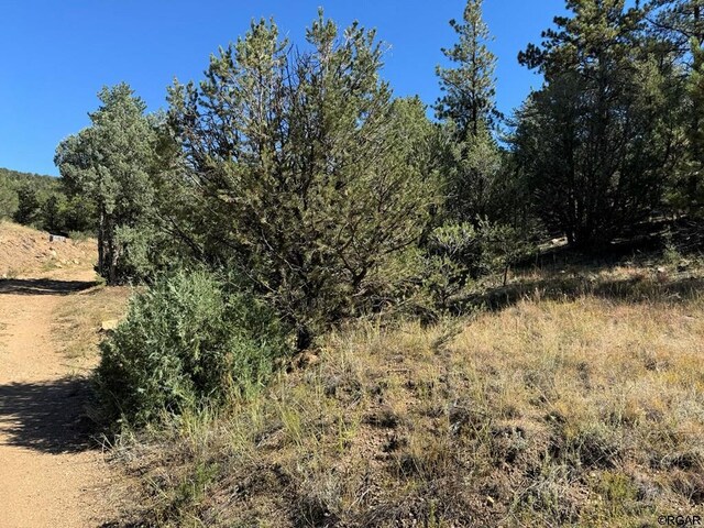 LOT9 Sundance Rd, Cotopaxi, CO 81223