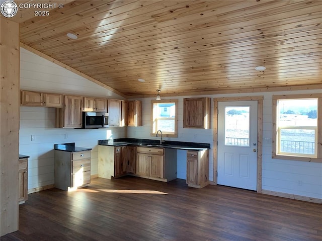 kitchen with dark wood-style flooring, dark countertops, lofted ceiling, stainless steel microwave, and a sink