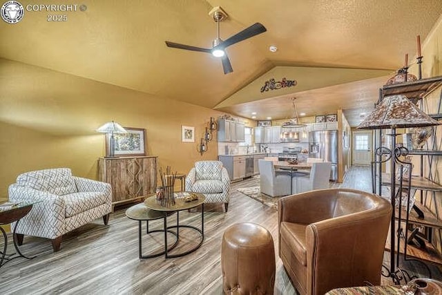 336 Arrowhead Dr, Florence, CO 81226 - living area with light wood finished floors, lofted ceiling, and a ceiling fan