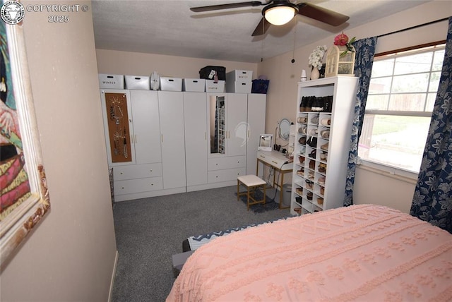 2117 Morningside Dr, Canon City, CO 81212 - photo 13