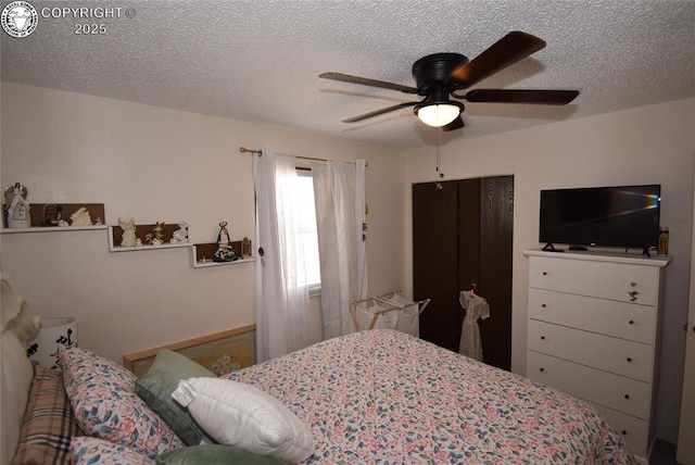 2117 Morningside Dr, Canon City, CO 81212 - photo 15