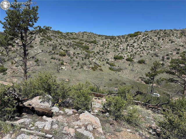 TR-29 County Road 18x, Cotopaxi, CO 81223