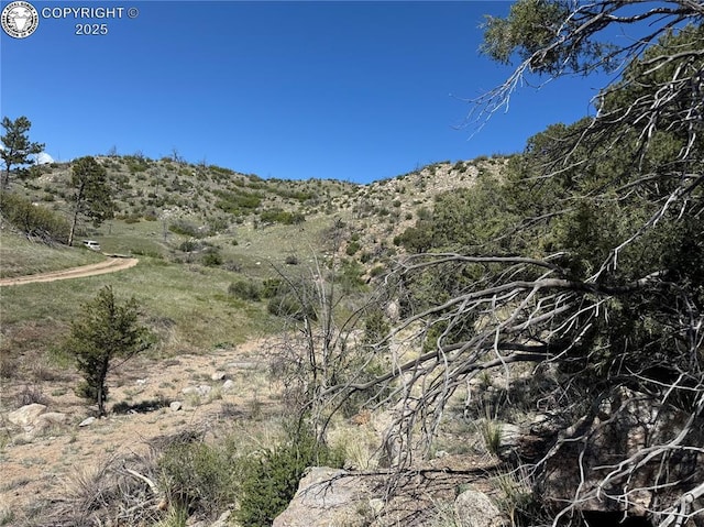 TR-29 County Road 18x, Cotopaxi, CO 81223