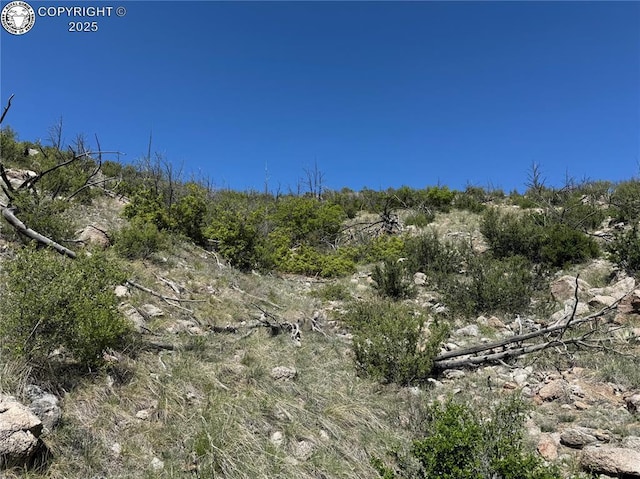TR-29 County Road 18x, Cotopaxi, CO 81223