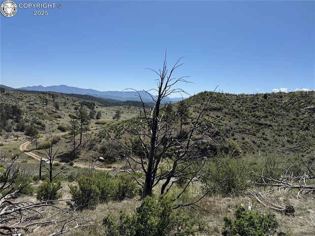 TR-29 County Road 18x, Cotopaxi, CO 81223