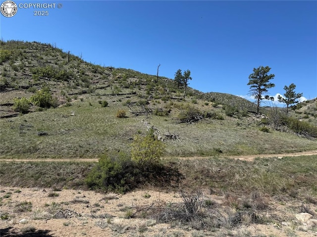 TR-29 County Road 18x, Cotopaxi, CO 81223
