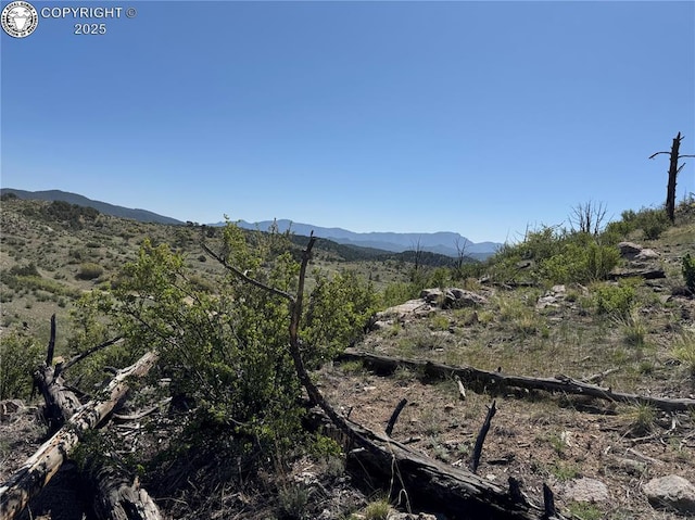 TR-29 County Road 18x, Cotopaxi, CO 81223