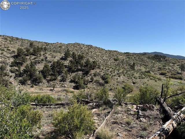 TR-29 County Road 18x, Cotopaxi, CO 81223