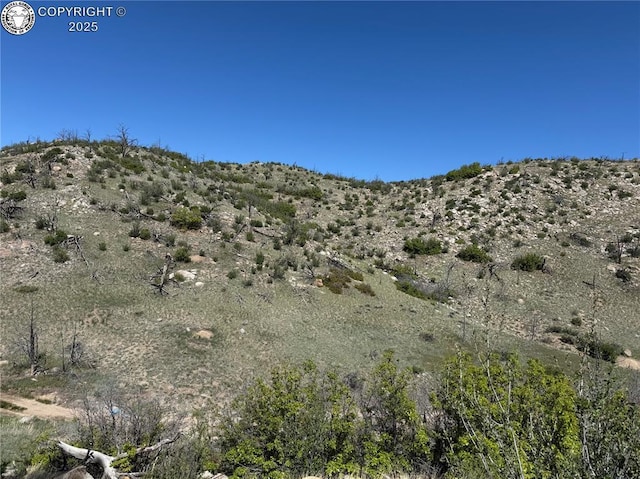 TR-29 County Road 18x, Cotopaxi, CO 81223