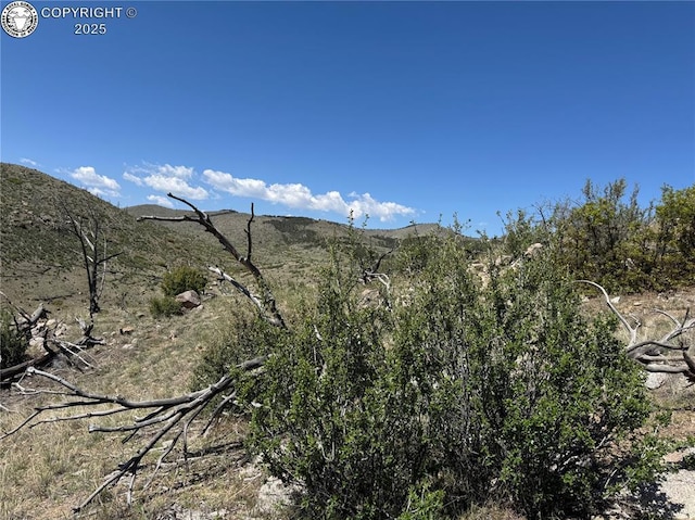 TR-29 County Road 18x, Cotopaxi, CO 81223