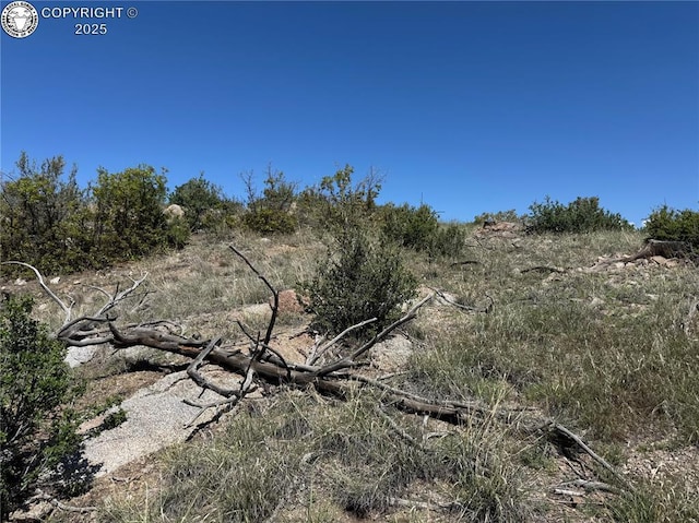 TR-29 County Road 18x, Cotopaxi, CO 81223