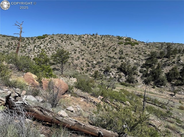 TR-29 County Road 18x, Cotopaxi, CO 81223