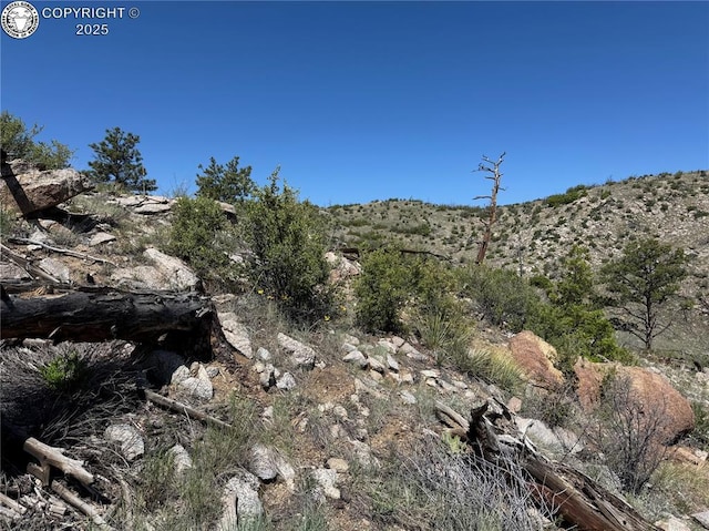 TR-29 County Road 18x, Cotopaxi, CO 81223