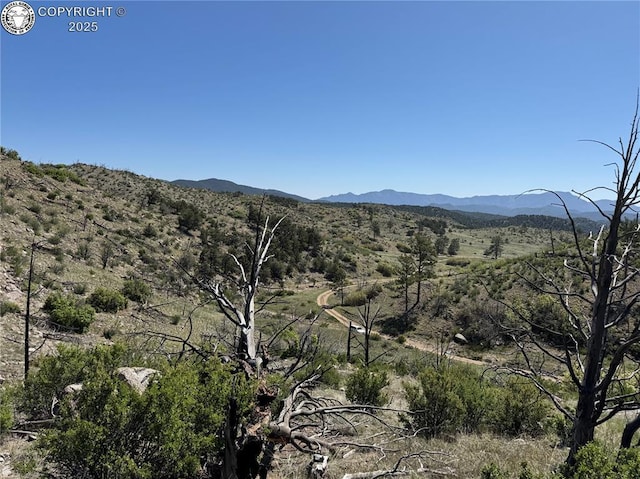 TR-29 County Road 18x, Cotopaxi, CO 81223