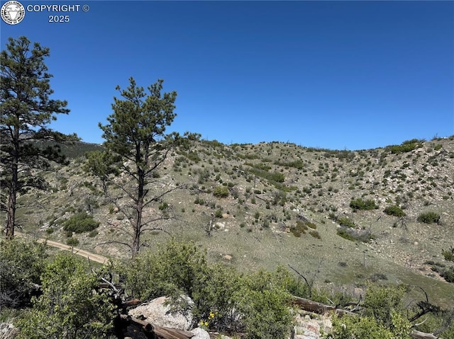TR-29 County Road 18x, Cotopaxi, CO 81223