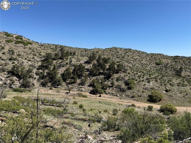 TR-29 County Road 18x, Cotopaxi, CO 81223