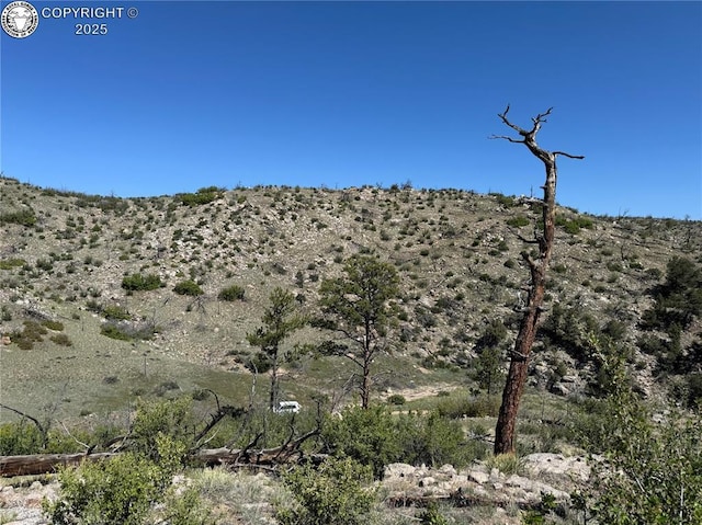 TR-29 County Road 18x, Cotopaxi, CO 81223