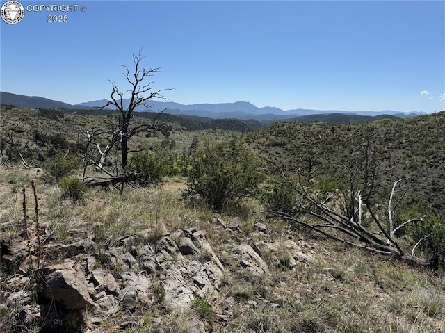 TR-29 County Road 18x, Cotopaxi, CO 81223