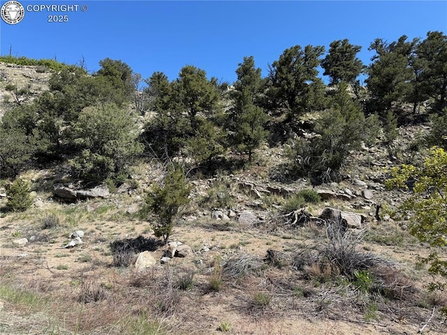 TR-29 County Road 18x, Cotopaxi, CO 81223