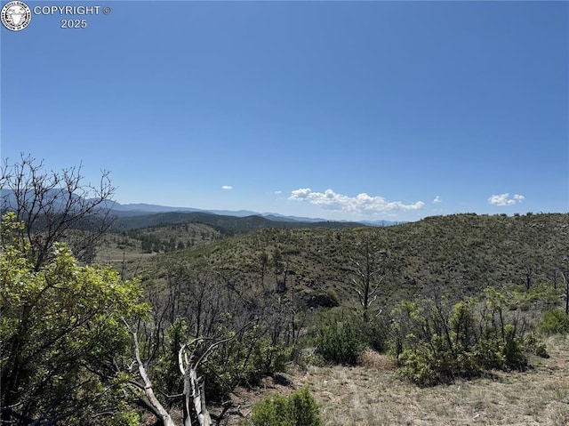 TR-29 County Road 18x, Cotopaxi, CO 81223