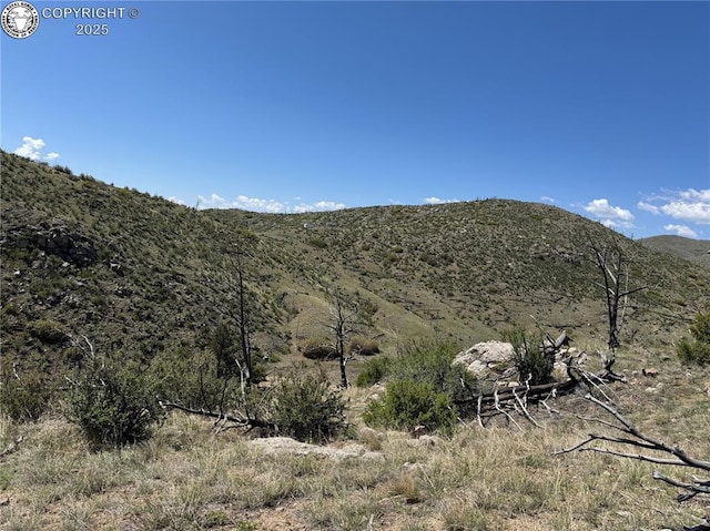 TR-29 County Road 18x, Cotopaxi, CO 81223
