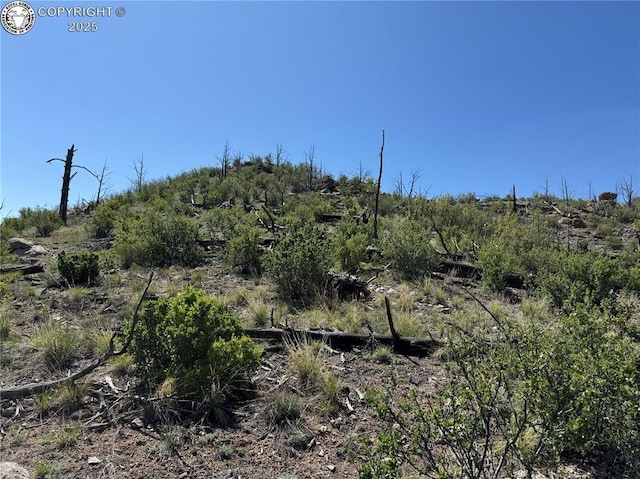 TR-29 County Road 18x, Cotopaxi, CO 81223