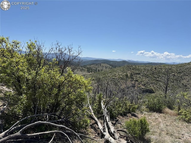 TR-29 County Road 18x, Cotopaxi, CO 81223