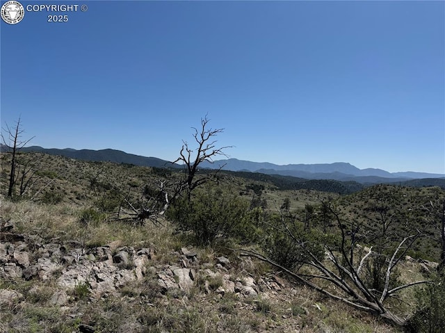 TR-29 County Road 18x, Cotopaxi, CO 81223