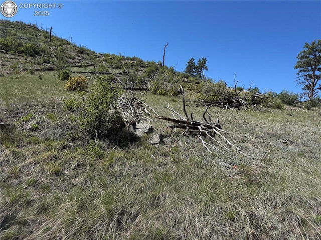 TR-29 County Road 18x, Cotopaxi, CO 81223
