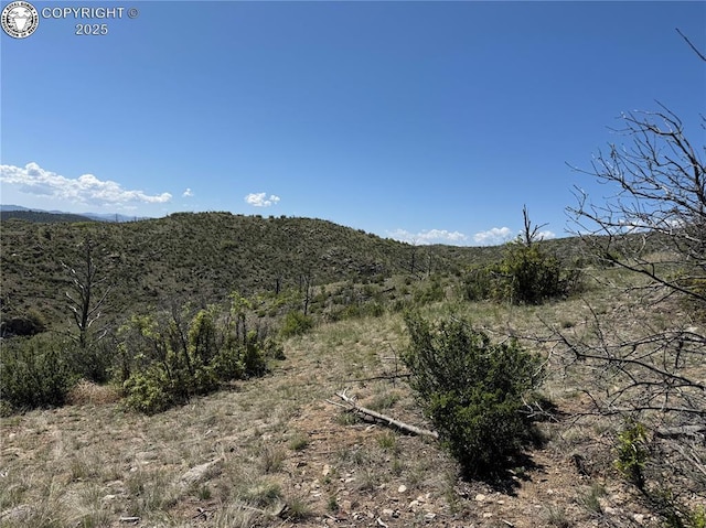 TR-29 County Road 18x, Cotopaxi, CO 81223