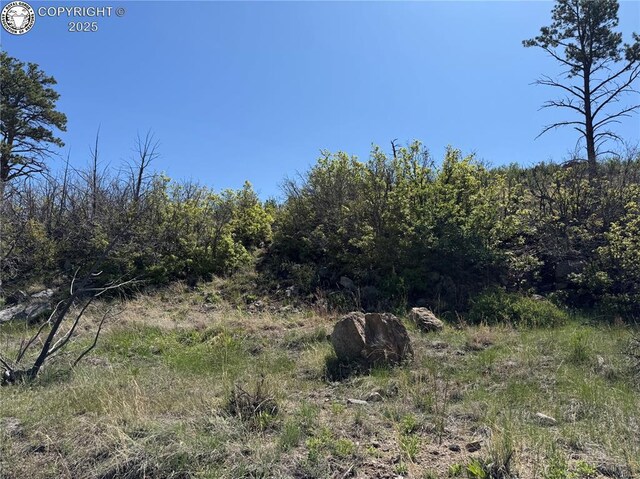 TR-29 County Road 18x, Cotopaxi, CO 81223