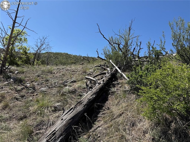 TR-29 County Road 18x, Cotopaxi, CO 81223