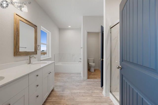 bathroom with toilet, wood finished floors, a sink, double vanity, and a stall shower