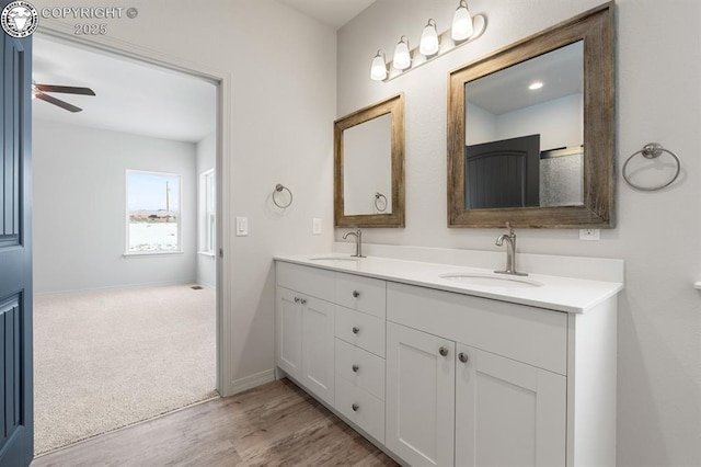 full bathroom featuring double vanity, wood finished floors, a sink, and baseboards