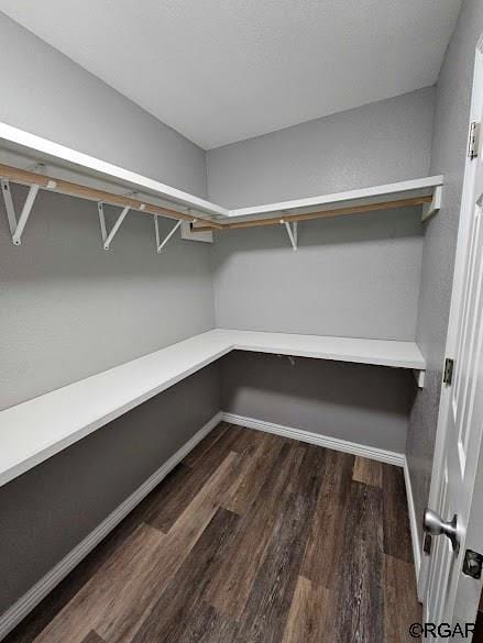 walk in closet with dark hardwood / wood-style flooring